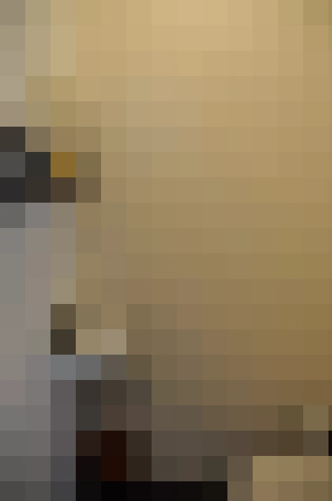  / #15