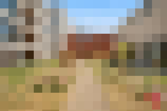  / #15