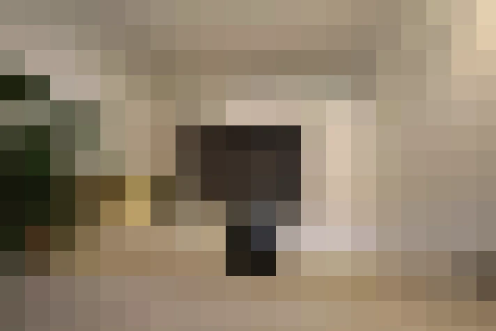  / #15
