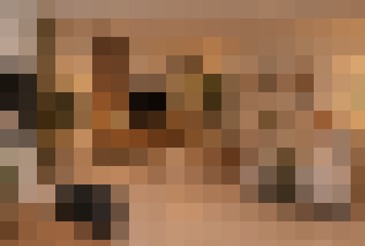  / #15