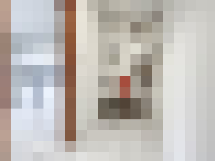  / #14