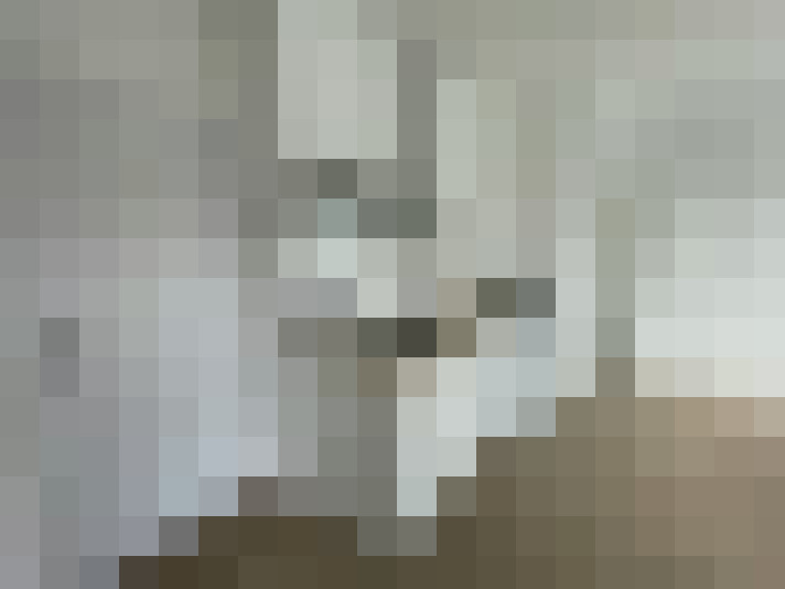 / #12