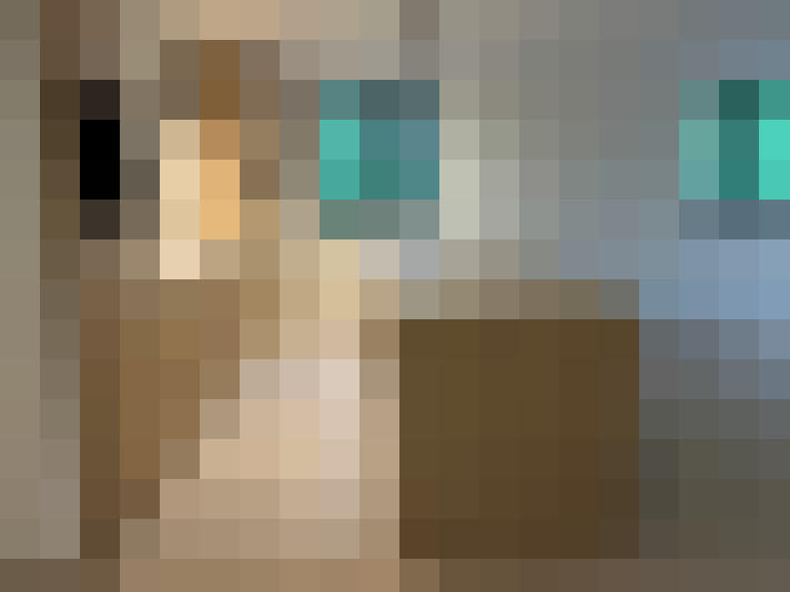  / #7