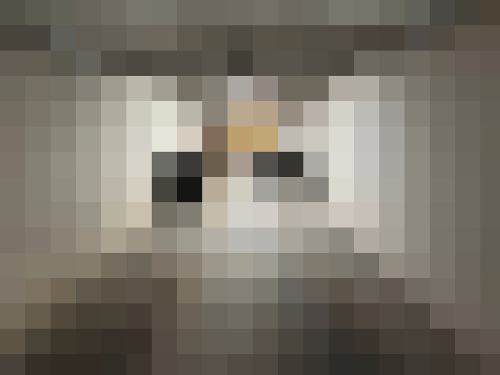  / #18