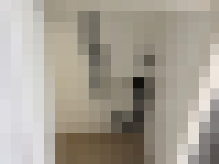  / #20