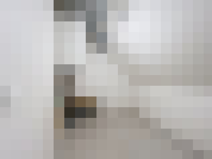  / #15