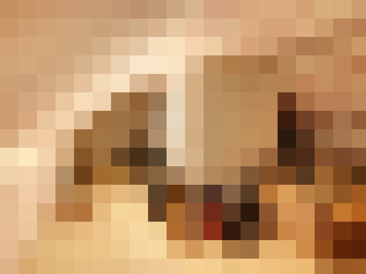  / #21