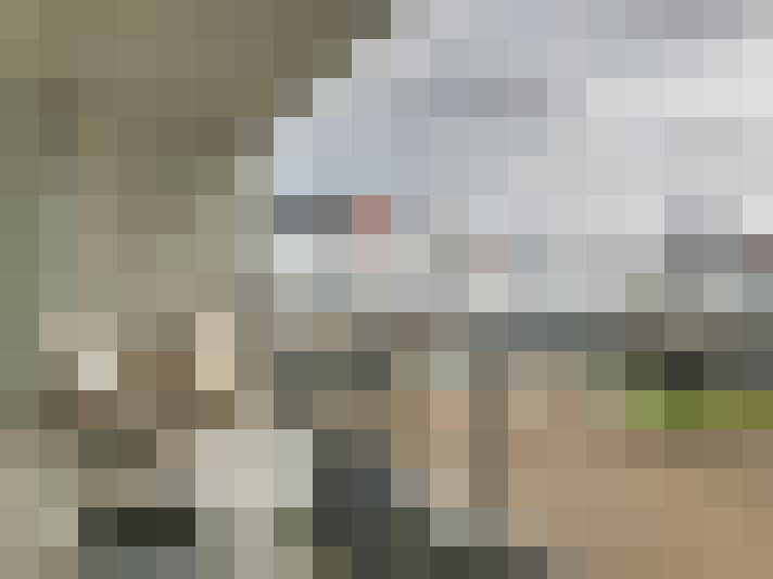  / #11