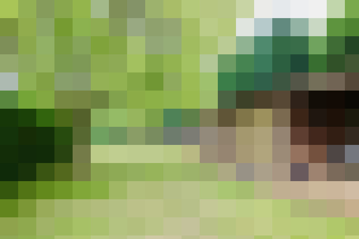  / #20