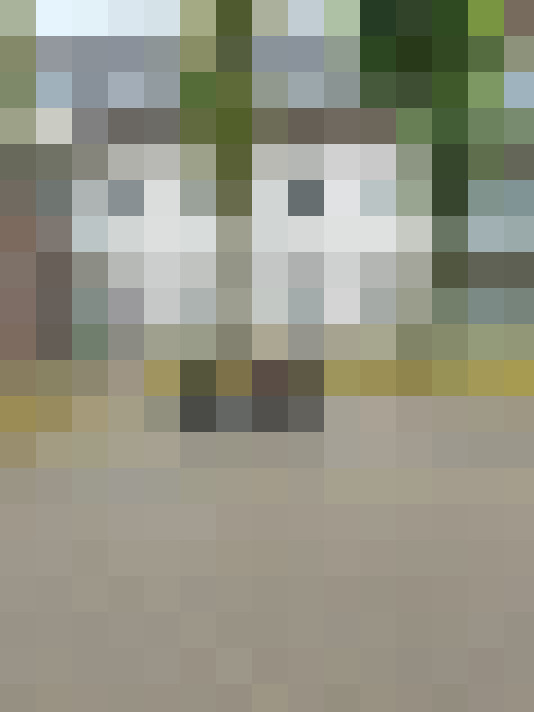  / #23