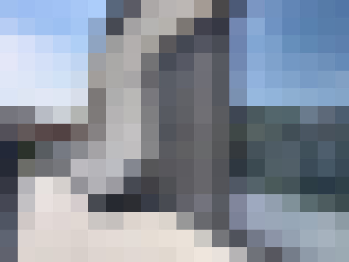  / #14