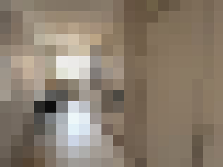  / #8