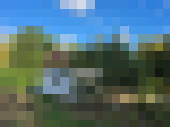  / #7