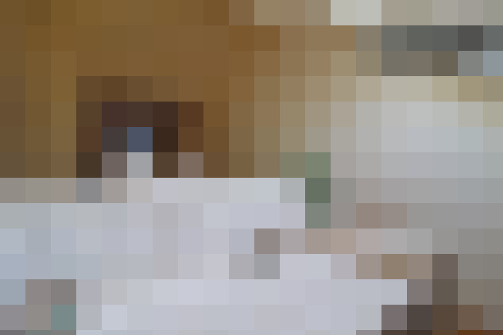  / #14