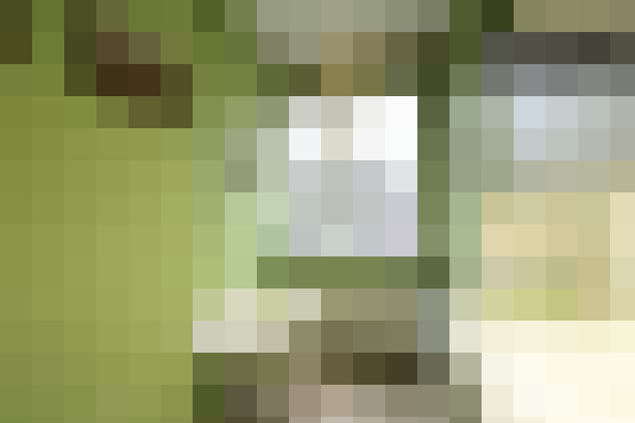  / #14