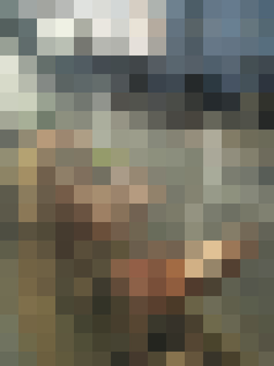  / #17