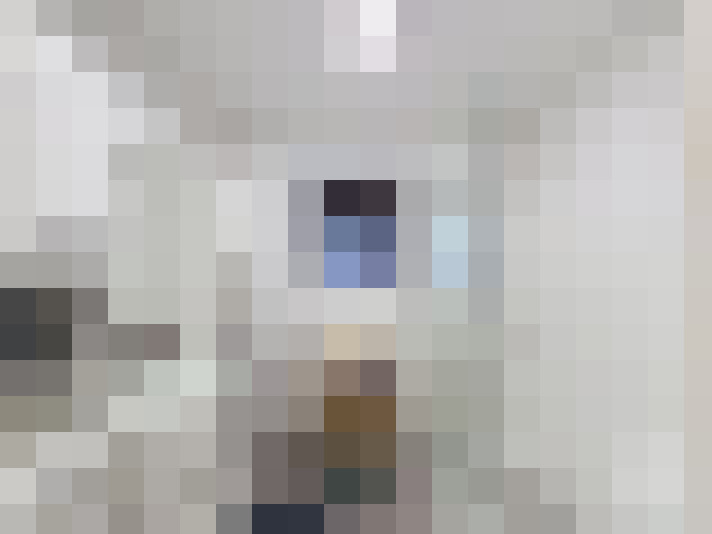  / #11