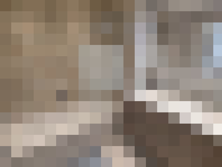  / #8