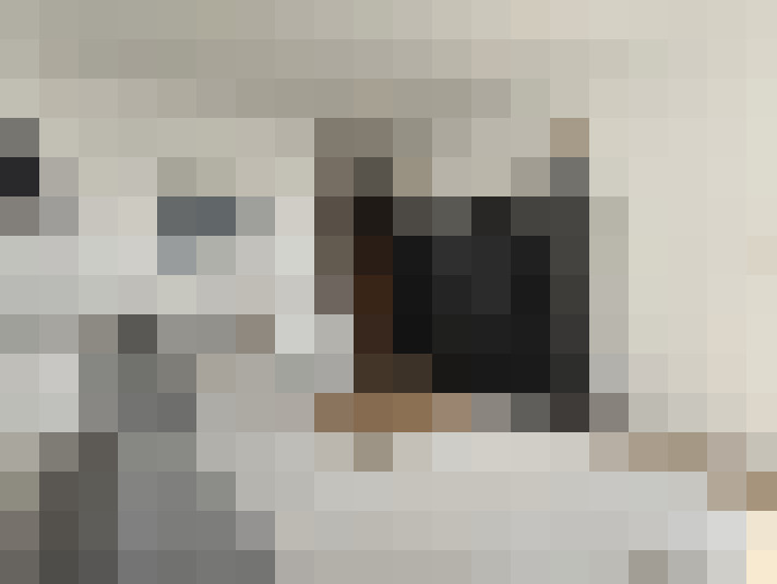  / #14