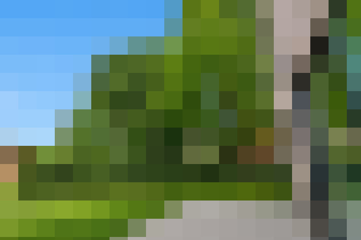 / #19