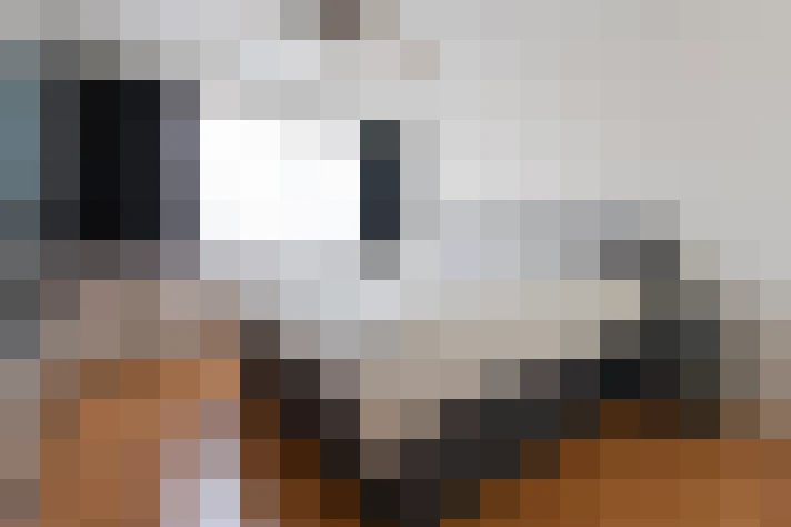  / #18