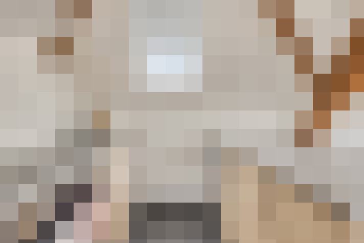  / #18