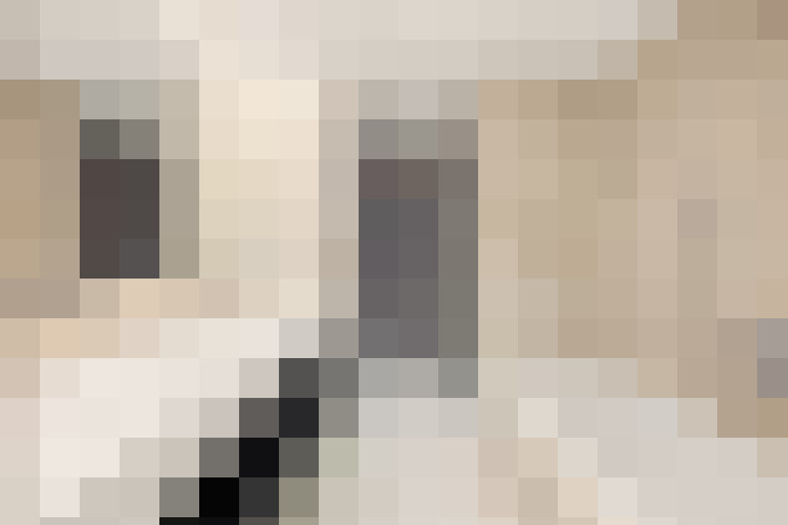  / #22