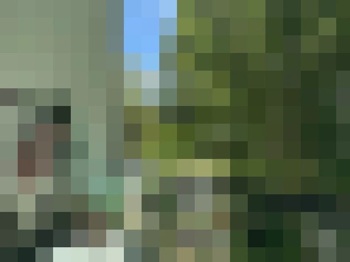  / #13