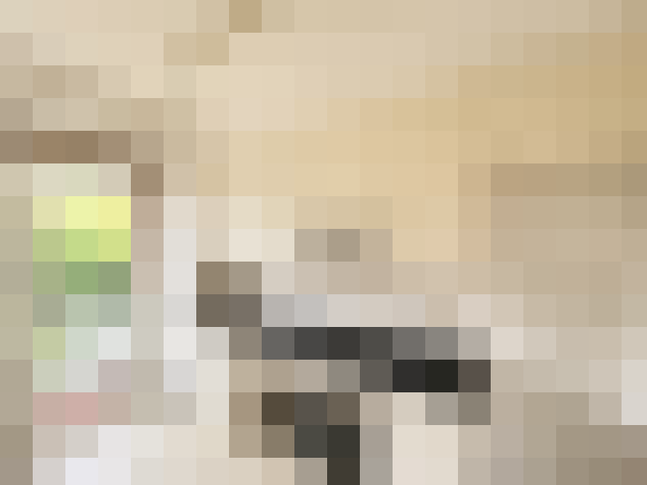  / #8