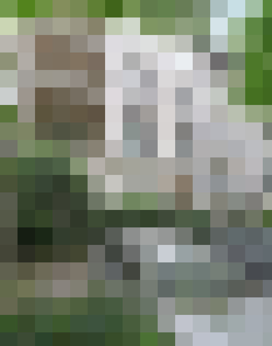  / #17