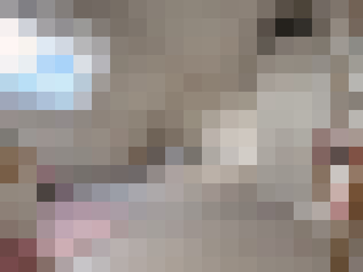  / #13
