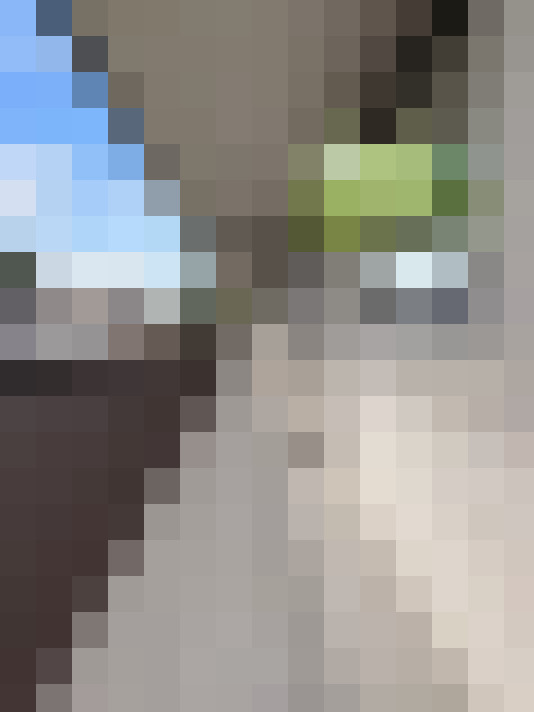  / #17