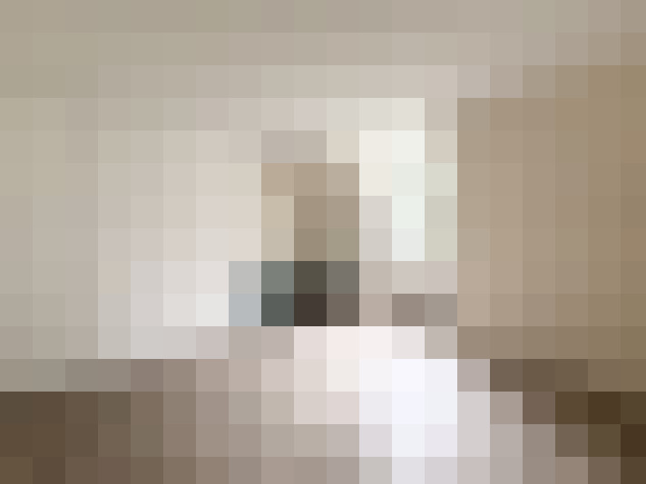  / #15