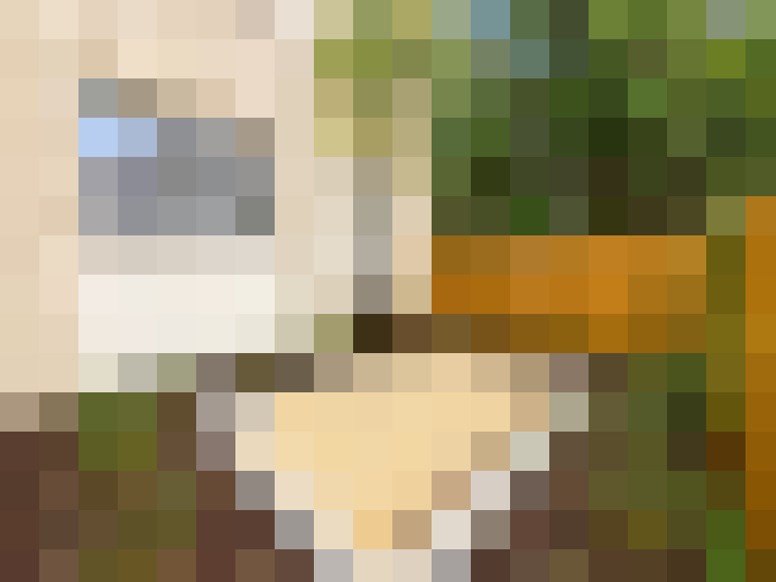  / #13