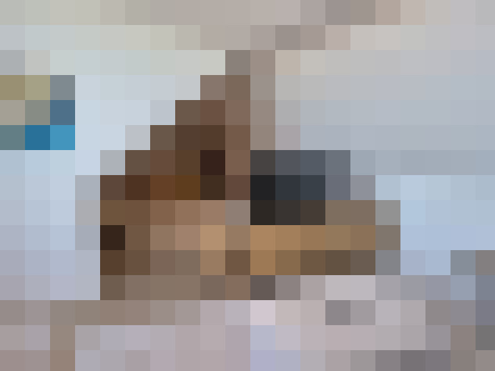  / #19