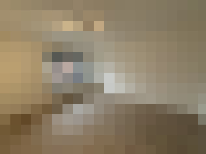 / #12