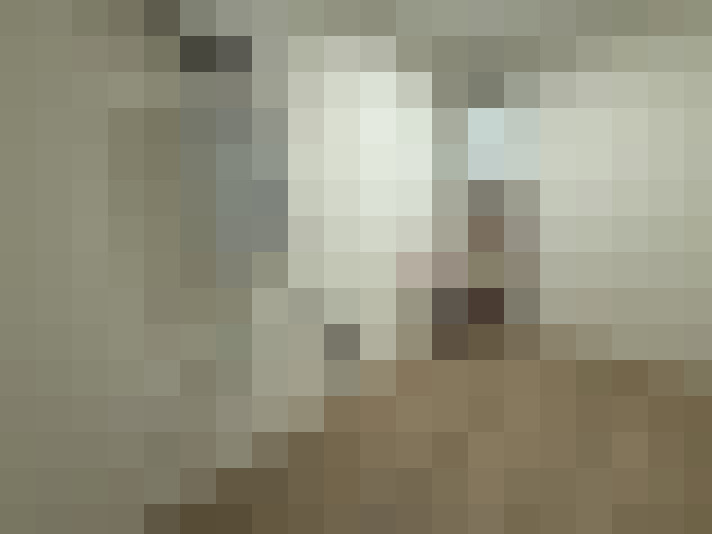  / #23