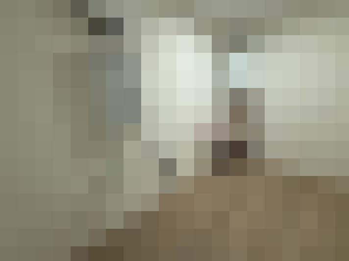  / #24