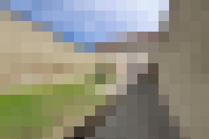  / #23