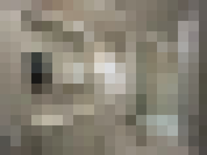  / #8
