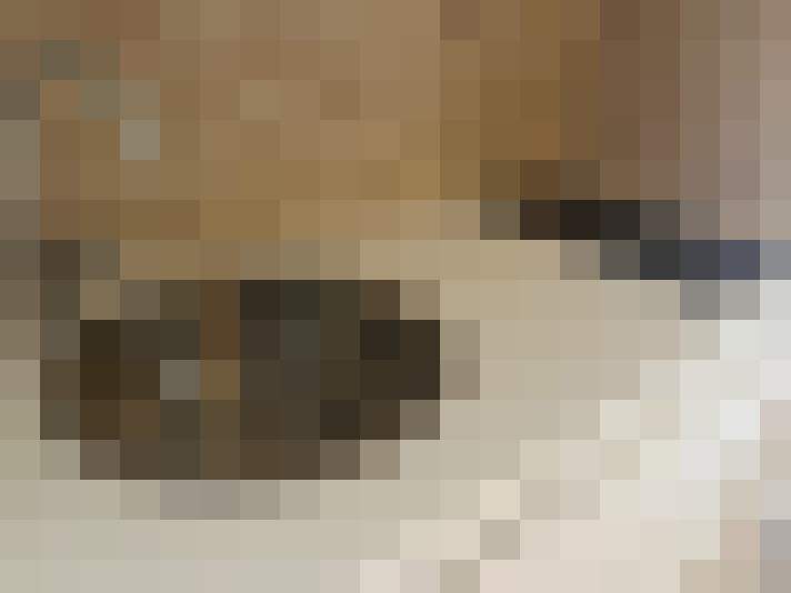  / #9
