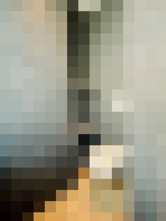  / #11