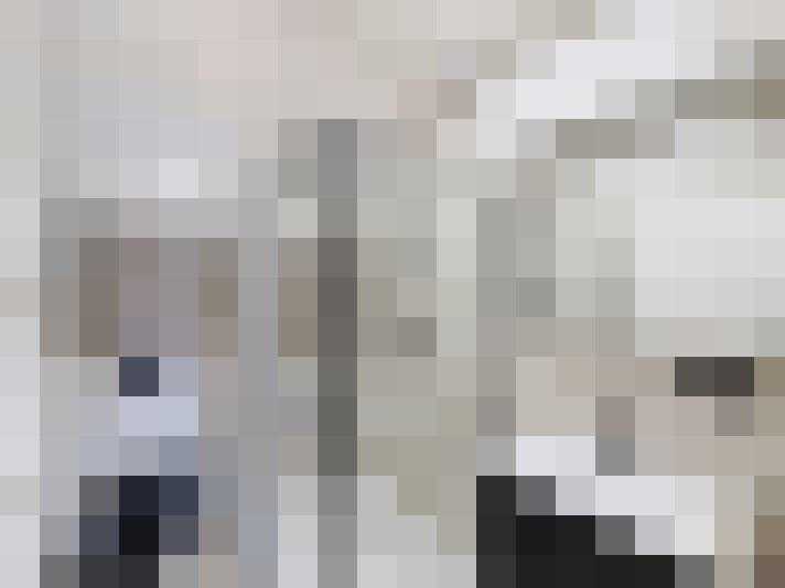  / #15