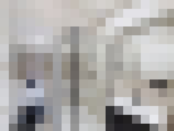  / #16
