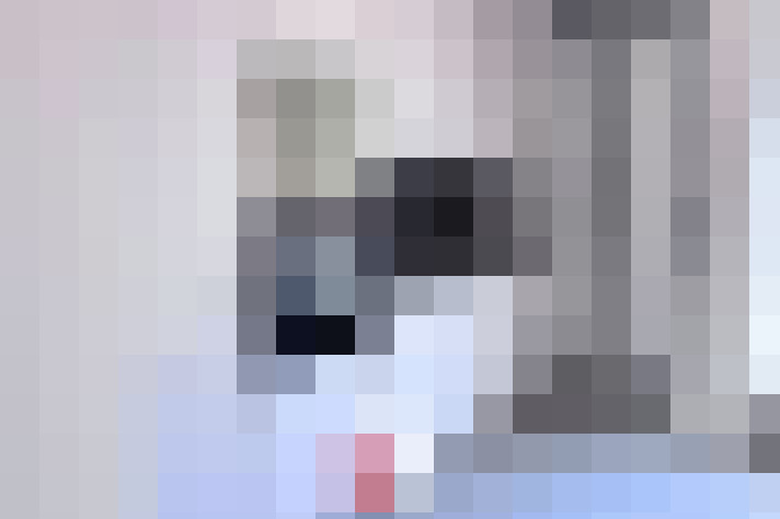  / #14