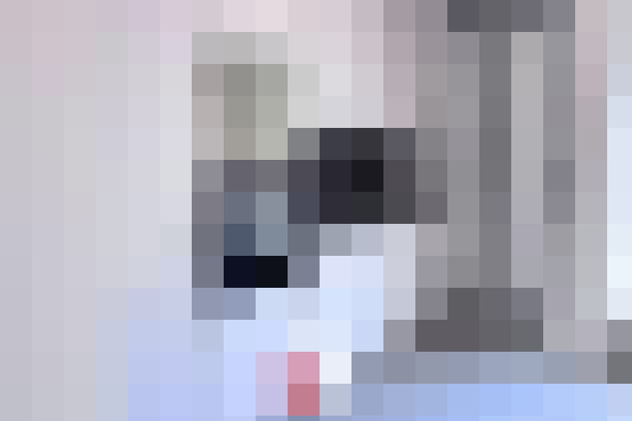  / #13