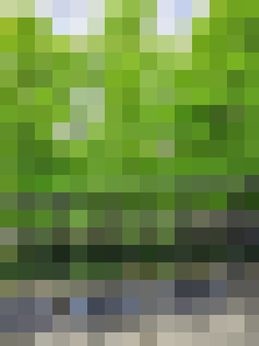  / #16