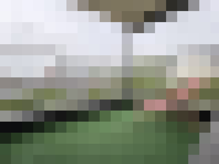  / #7