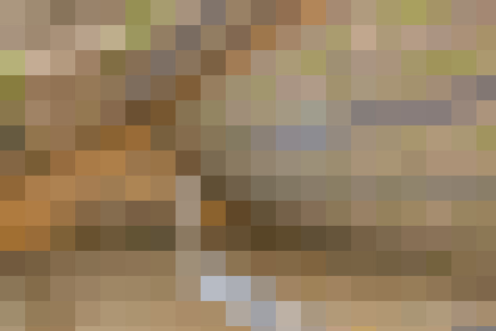  / #19