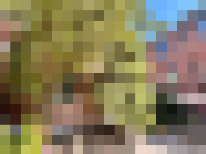  / #16